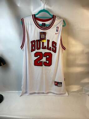 Vintage Michigan Jordan Chicago Bulls Nike Hardwood Classics Swingman Jersey Siz